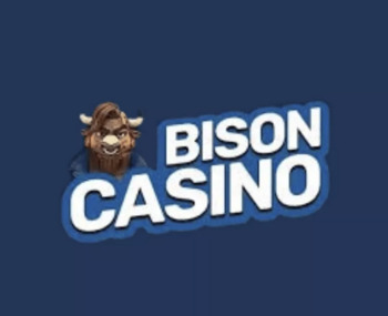 Bison Casino – podstawowe informacje