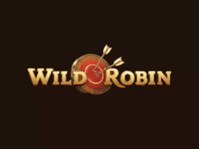 Recenzja top kasyna WildRobin